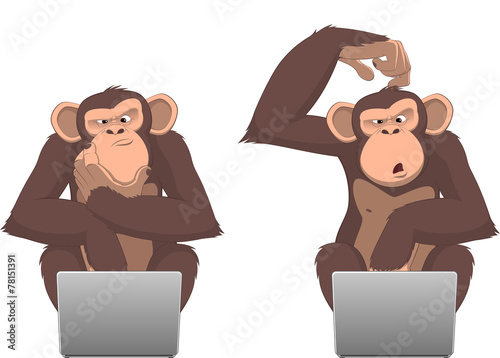 Monkey and computer