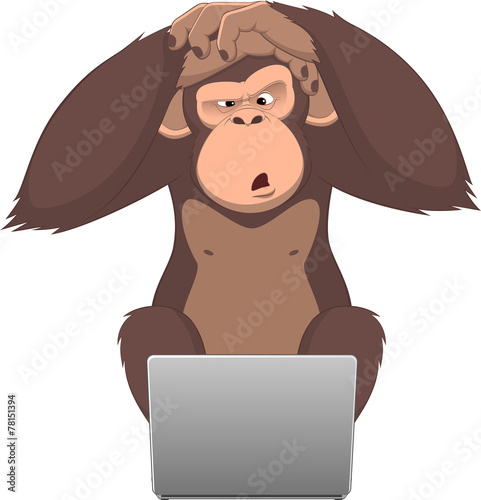 Monkey and computer