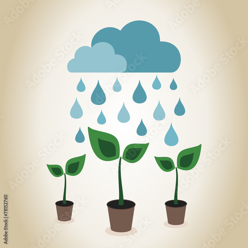 Rain on plant