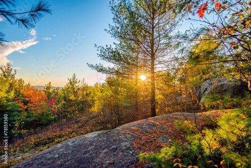 Sun Shines Through Trees in a Rocky Forest photo
