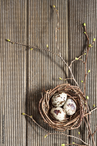 Quail eggs in the nest closeup