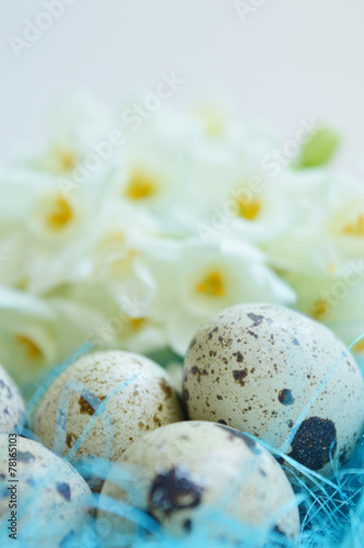 Fototapeta Naklejka Na Ścianę i Meble -  Flowers