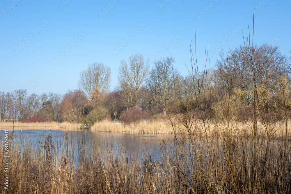 Mühlenteich Mühlenteich