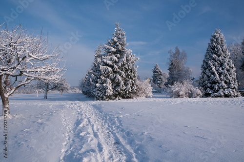 Winterlandschaft © Michael Ebardt