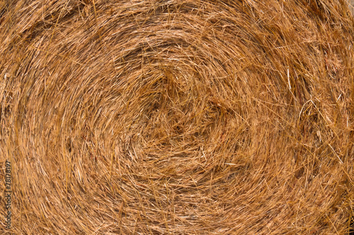 Swirled bail of hay - up close