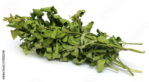 Dried moringa leaves