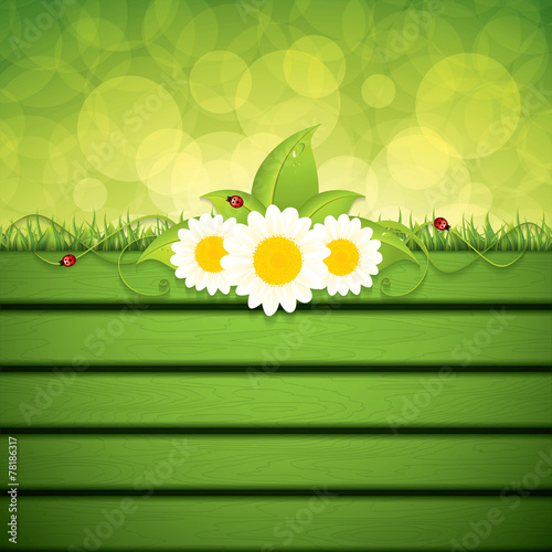 Green eco frame