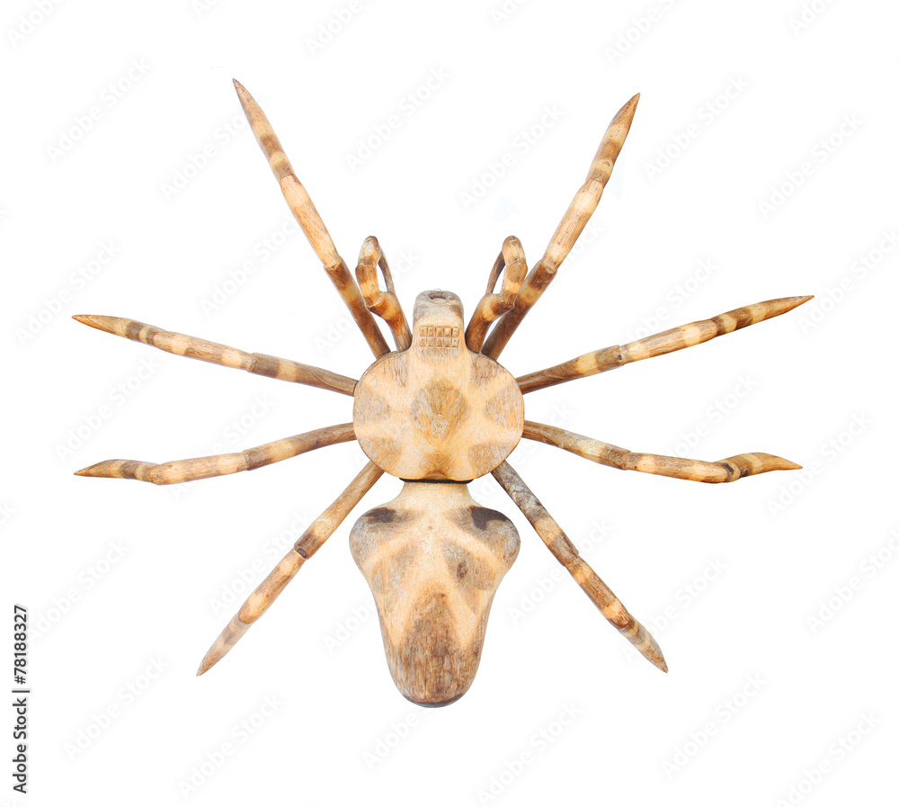 Obraz premium Spider isolated on white background