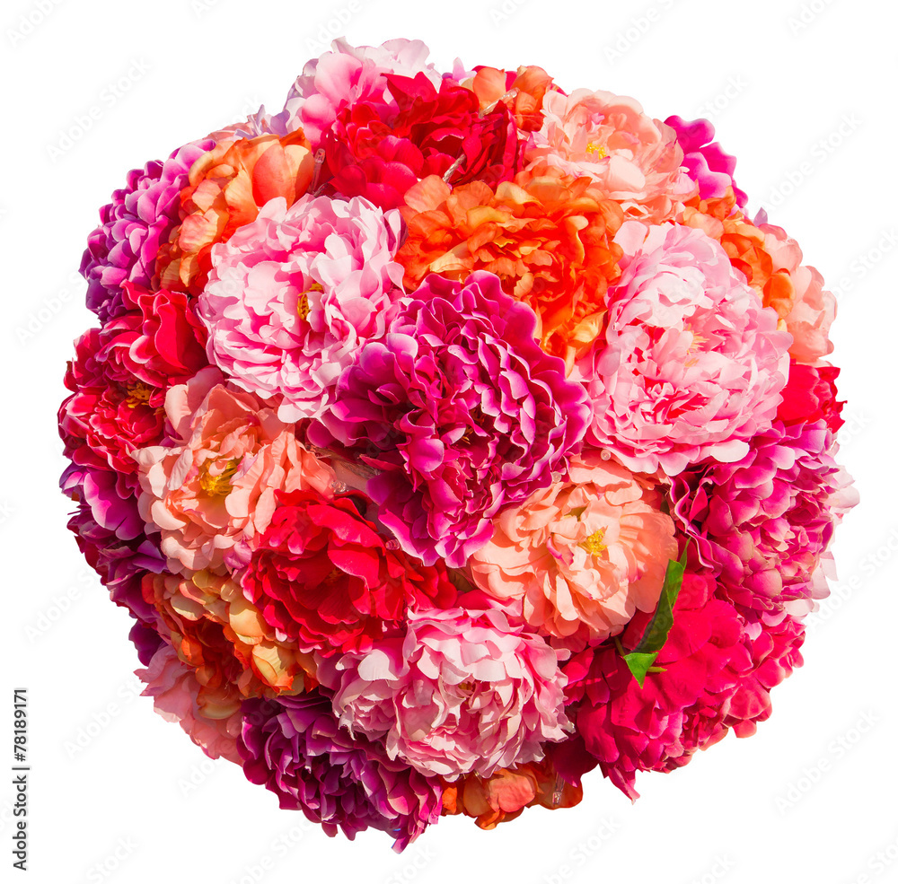 pink roses Heart form isolated on white background pink roses Heart form isolated on white background