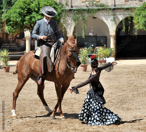 equestrian show, Cordoba, Spain photo