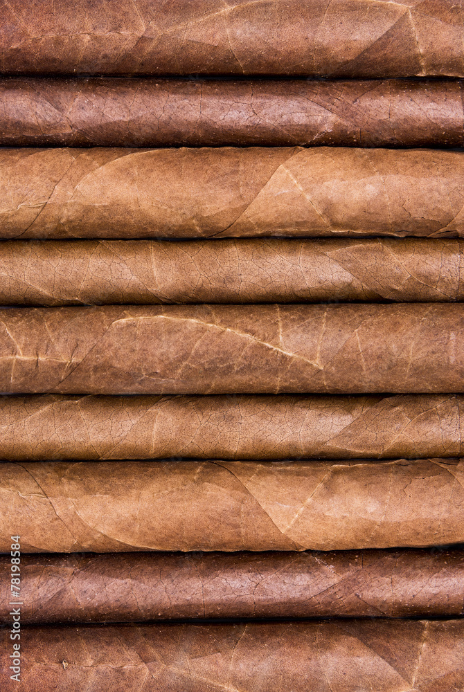 Cigars in a row close-up background Cigars in a row close-up background