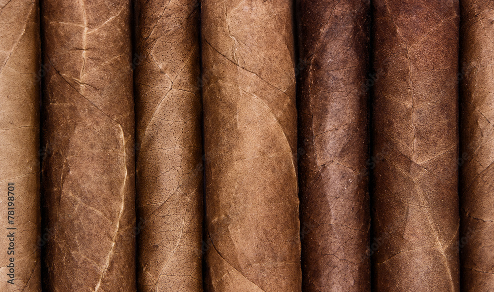 Cigars in a row with space for text. Close-up background Cigars in a row with space for text. Close-up background