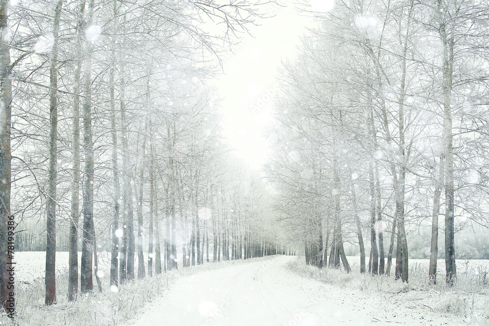 Snowy winter road in a field Snowy winter road in a field