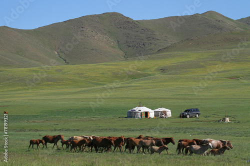 Troupeau de chevaux et yourtes dans la steppe