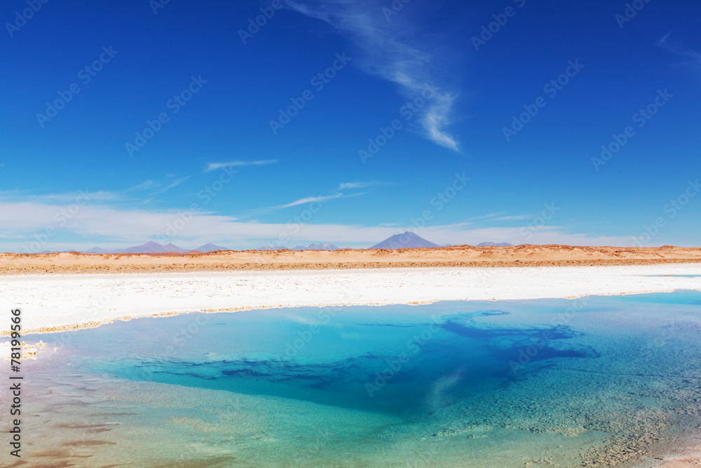 Salinas in Argentina