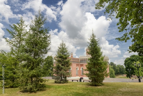 ancient palace in Tsaritsyno park