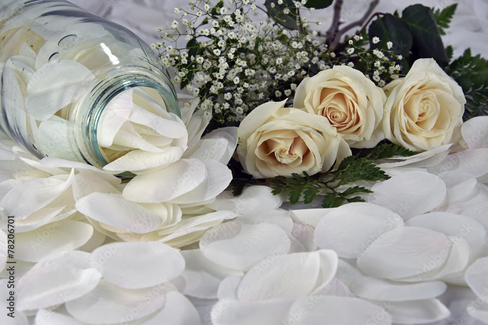 Obraz premium Feminine White Roses