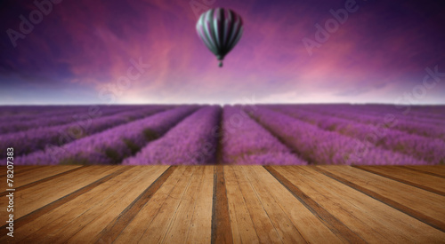 Stunning lavender field lan...