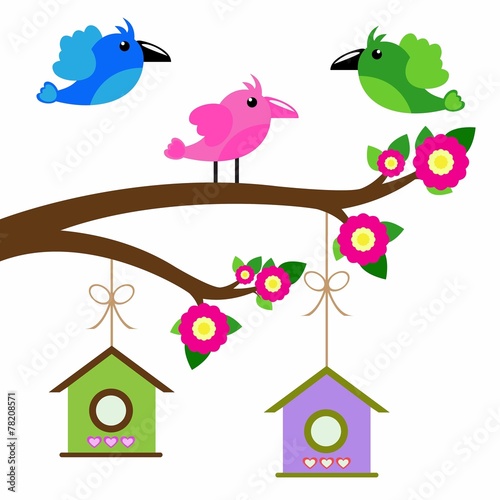 birds colorful and birdhouse on tree branches