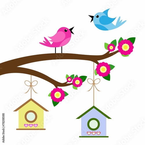 birds colorful and birdhouse on tree branches