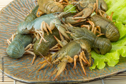 Raw Crayfish