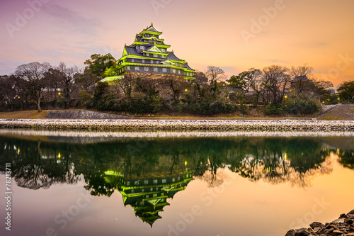Okayama Castle in Okayama, Japan photo