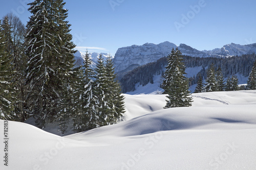 Bregenzerwald_Hochälpele_4811 photo