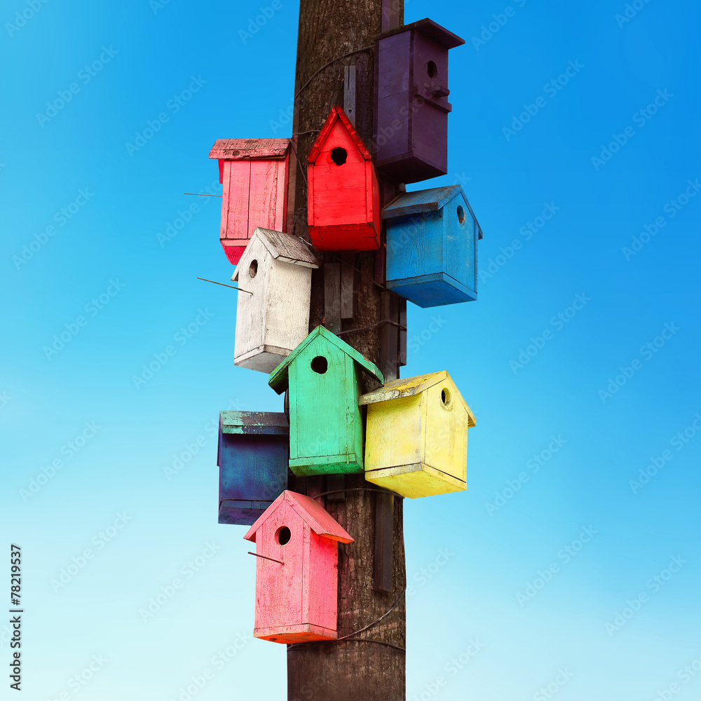Lots of colorful wooden birdhouses on a tree against blue sky Lots of colorful wooden birdhouses on a tree against blue sky