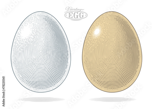 Egg in vintage engraved style