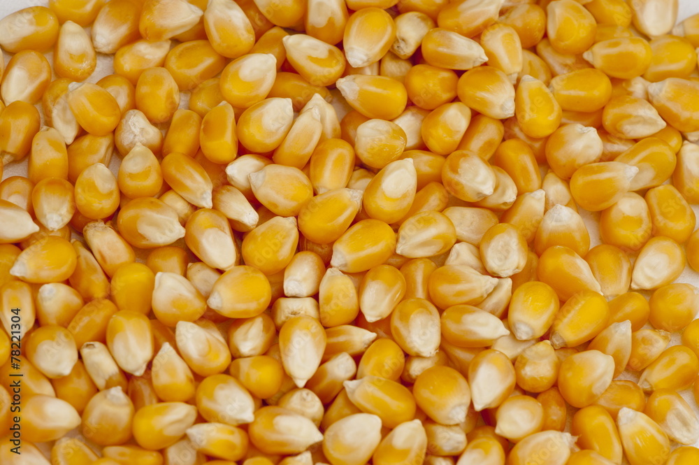 Corn Corn