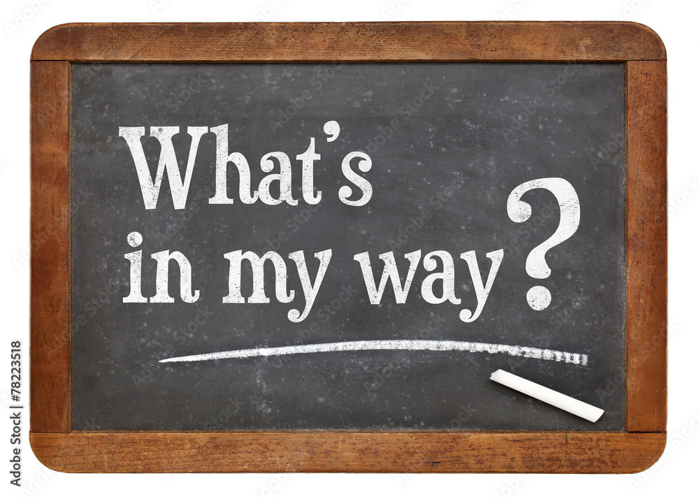 Obraz premium What is in my way?