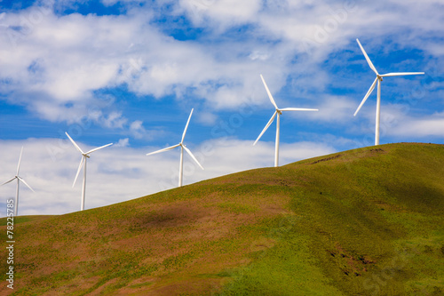 Windmills on a Green Hill