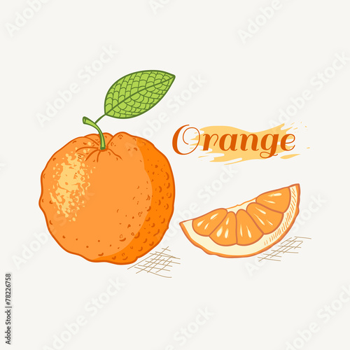 Orange with leaf vector illustration