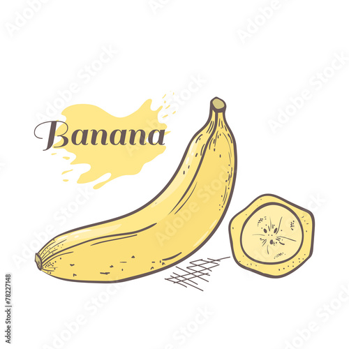 Vector illustration of hand drawn banana