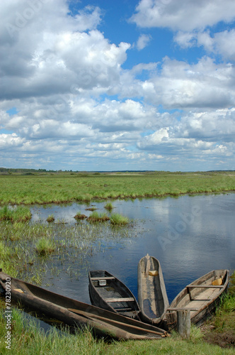 Fishing boats on the edge of water-meadow