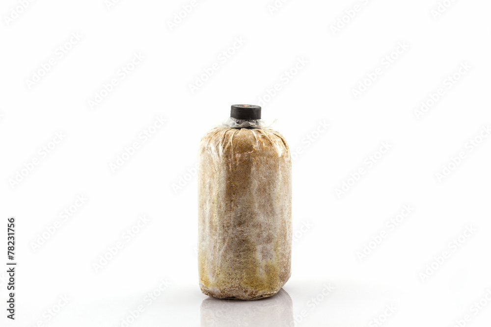 Bottle for mushrooms growing on white background. Bottle for mushrooms growing on white background.
