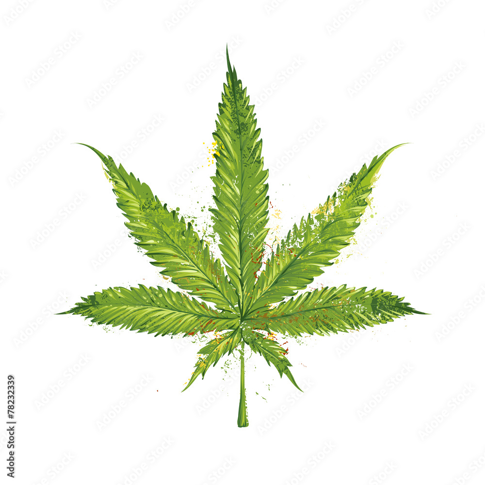 Vector Marijuana Leaf Vector Marijuana Leaf