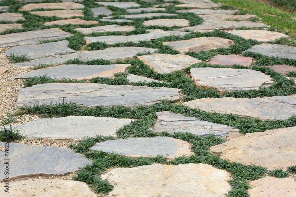 design floor of pavement with stone and grass design floor of pavement with stone and grass