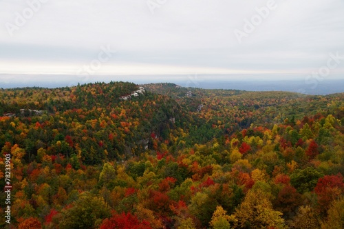 Mountain landscape with multicolored autumn trees.