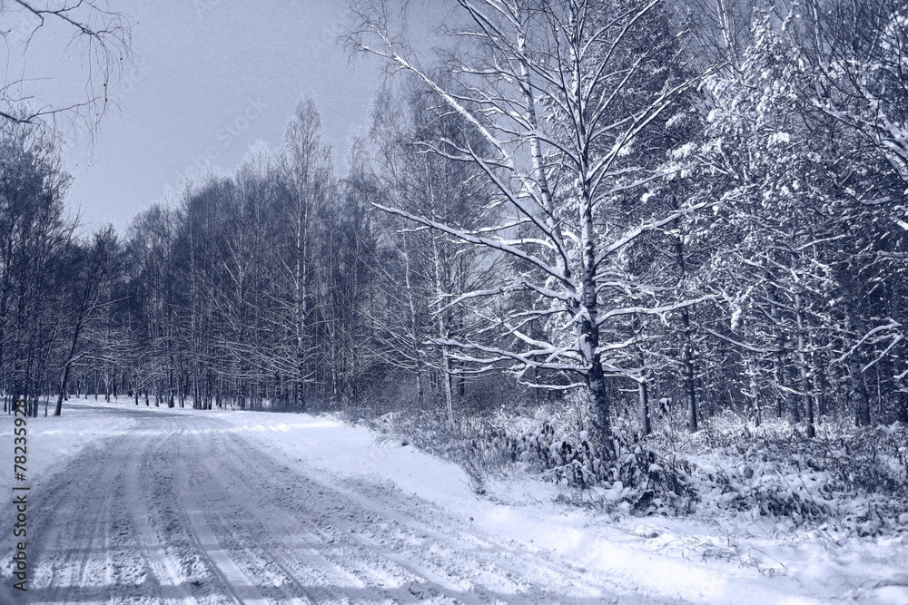 Obraz premium Winter road in snowy forest landscape