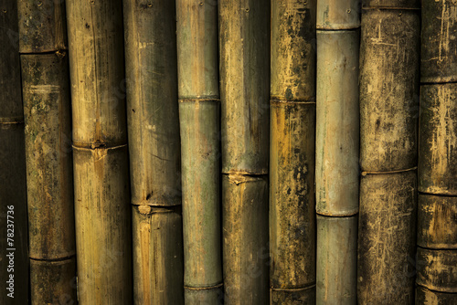 bamboo wall background and texture