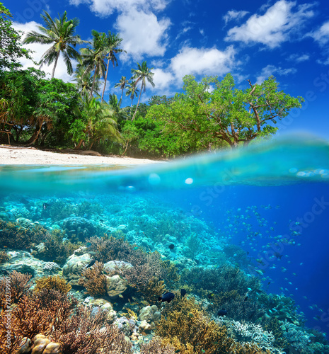 Coral reef in tropical sea. © soft_light