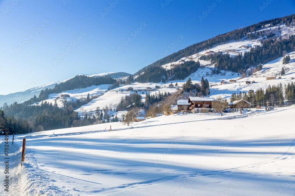 Austrian Winter