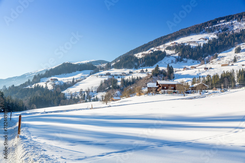 Austrian Winter