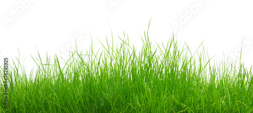 Green grass on white background #78245925