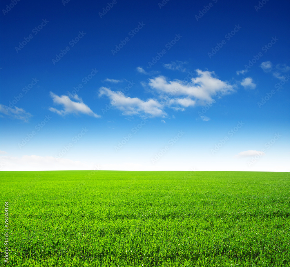 field field