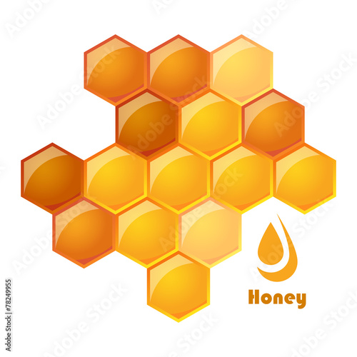 vector illustration of honeycomb