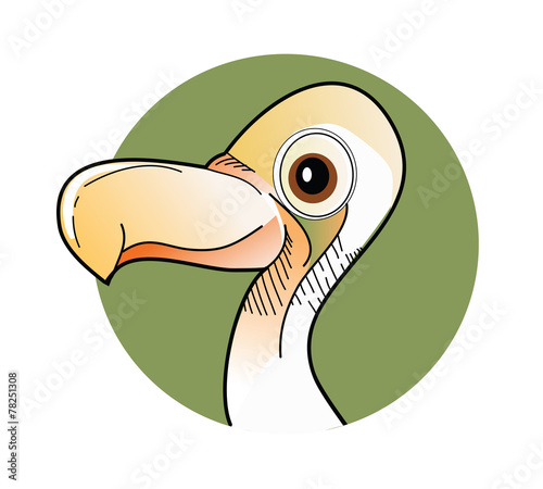 Bird dodo vector