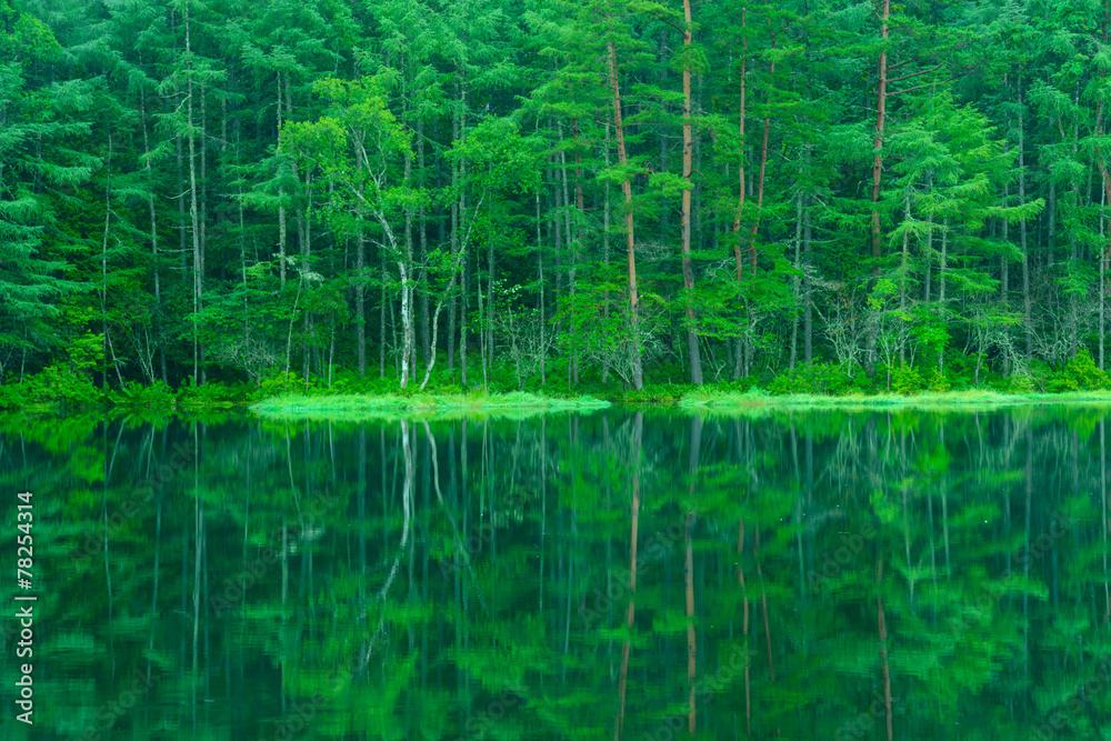 Fototapeta premium Mishaka Pond in Nagano, Japan