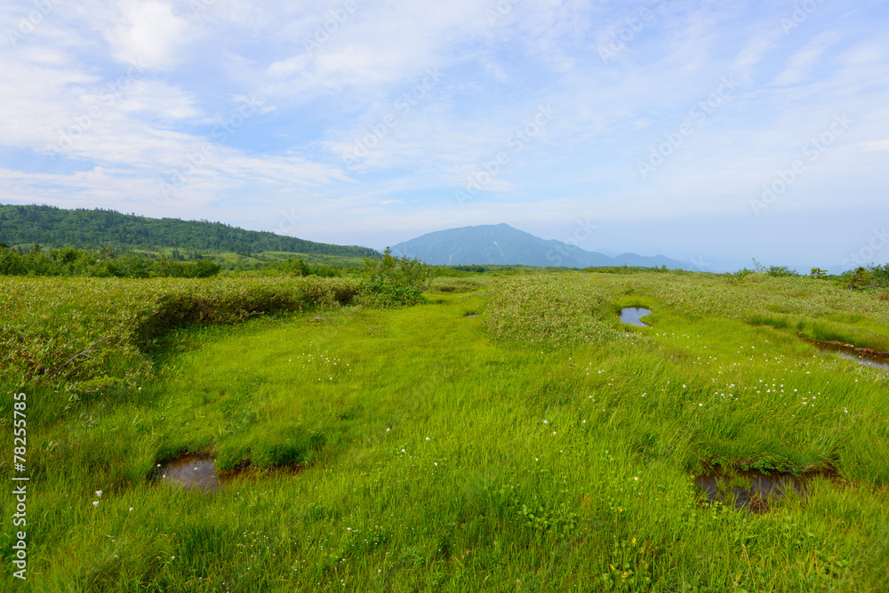 Midagahara in the Tateyama mountain range in Toyama, Japan